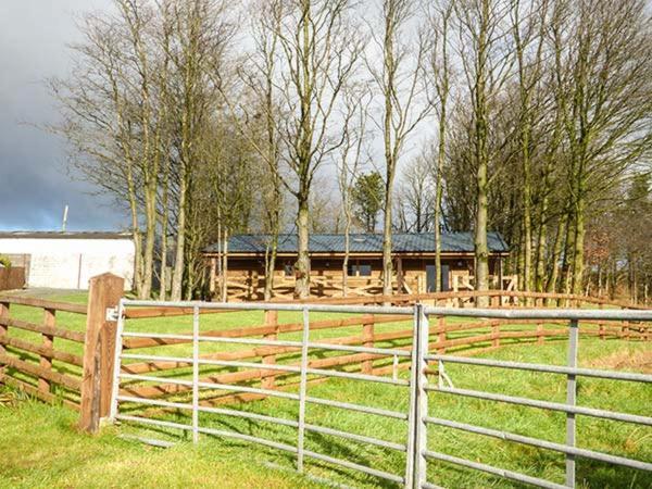 Valley View Lodge Trelystan Exterior foto